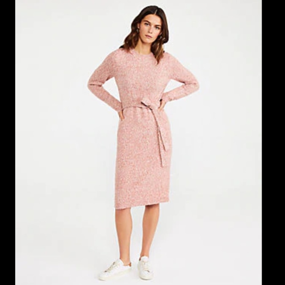 Ann Taylor Sweater Dress NWT